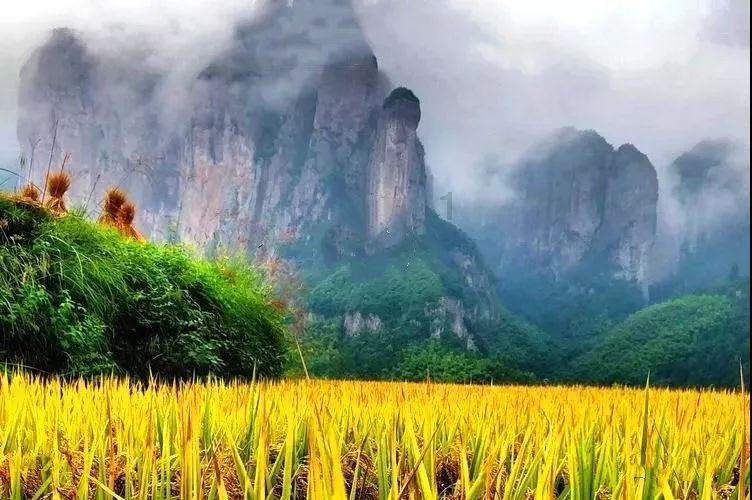 企业发悬赏令涉及公职人员,纪委回应